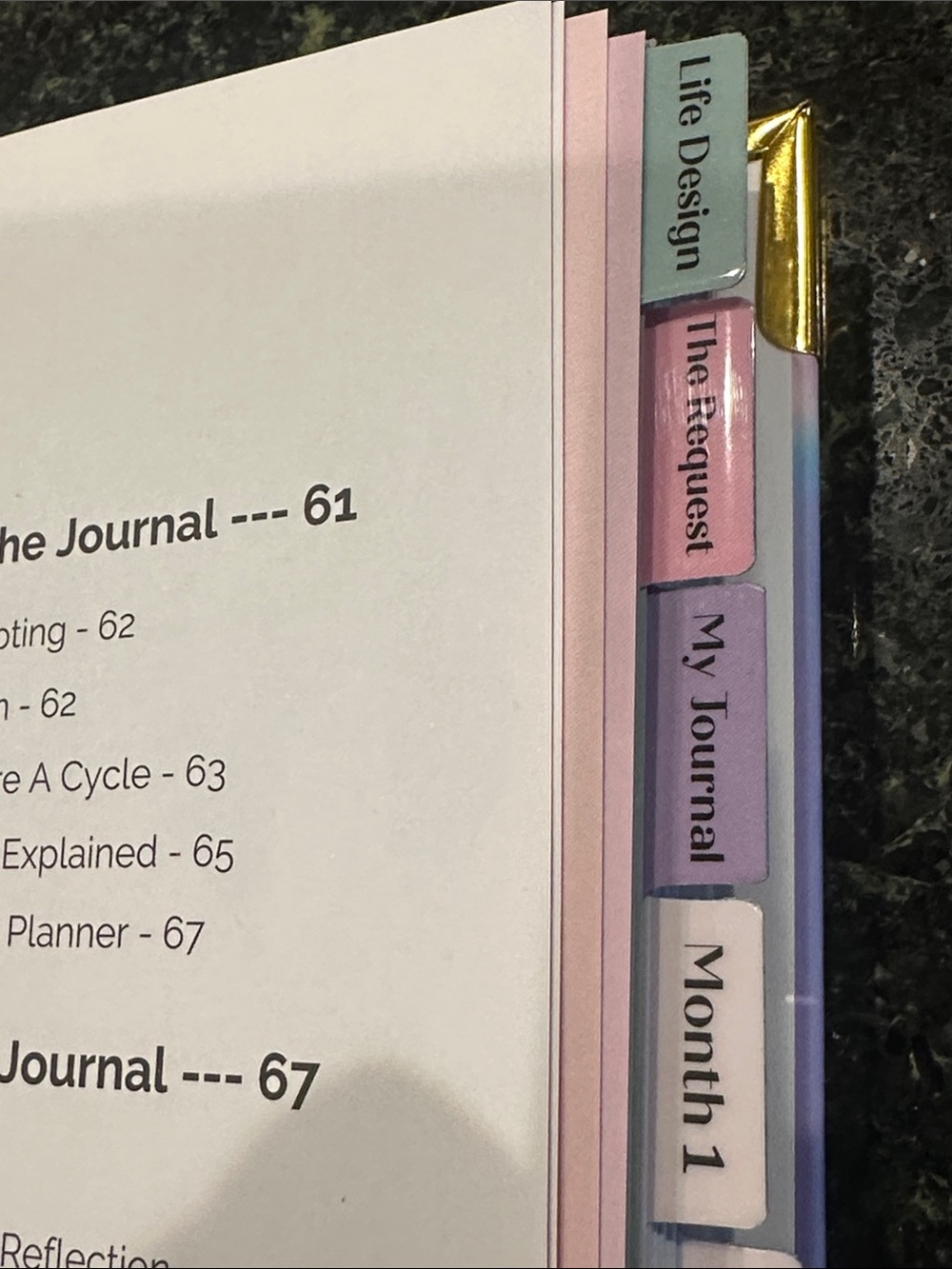 The Maniscripting Journal Life Design & Ritual Guidebook manifesting wealth gift - Picture 6 of 14
